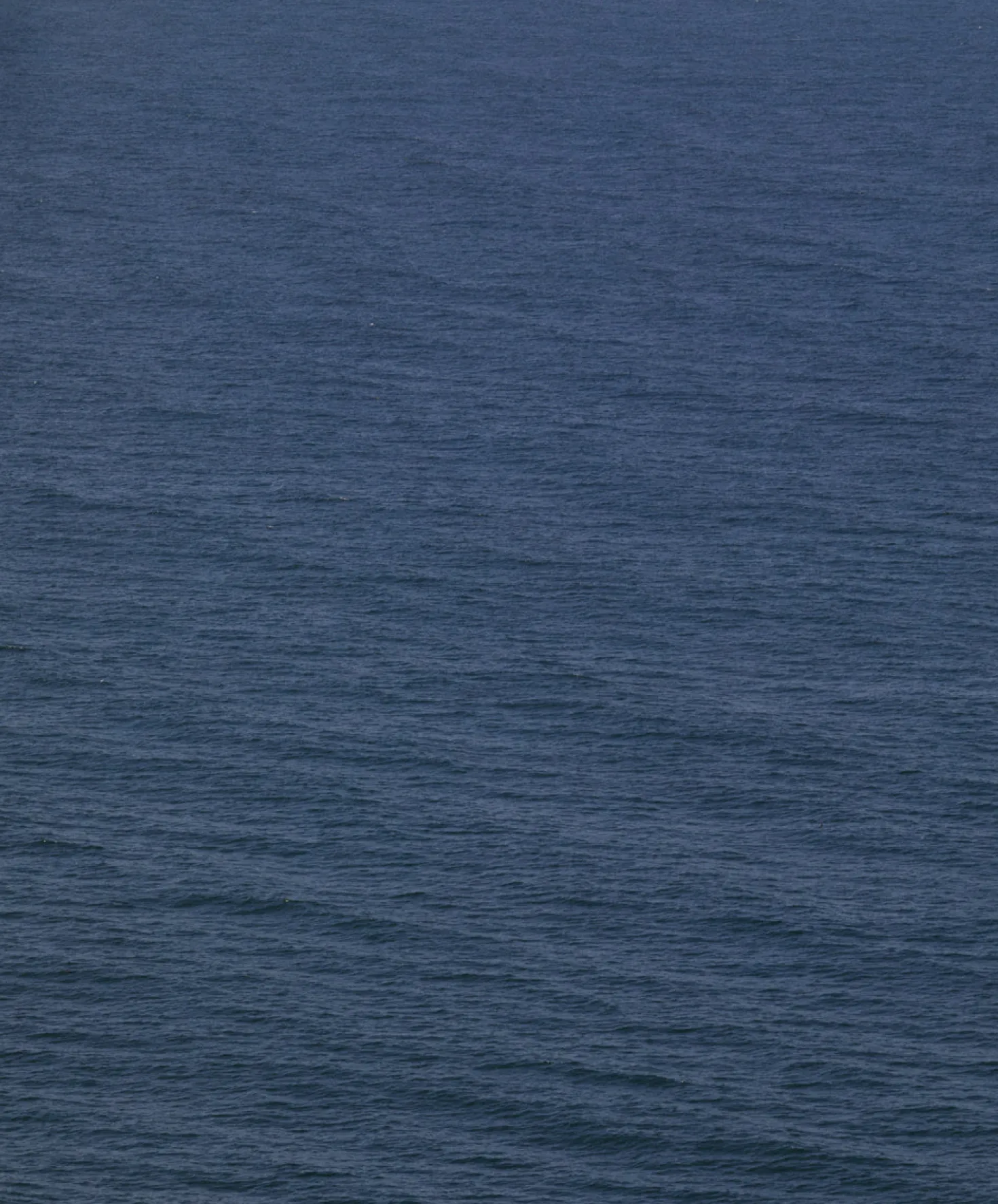 Reimagine Cashmere Beanie